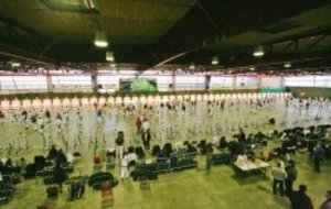 CHAMPIONNAT DE LIGUE A ALES - 17 février 2008