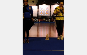 Championnat du Gard en salle JEUNES, 2 x 18 mètres avec éliminatoires.